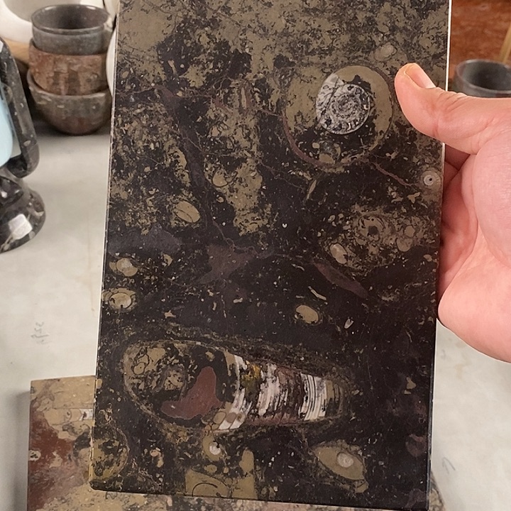 林***树化石茶盘粉丝福利