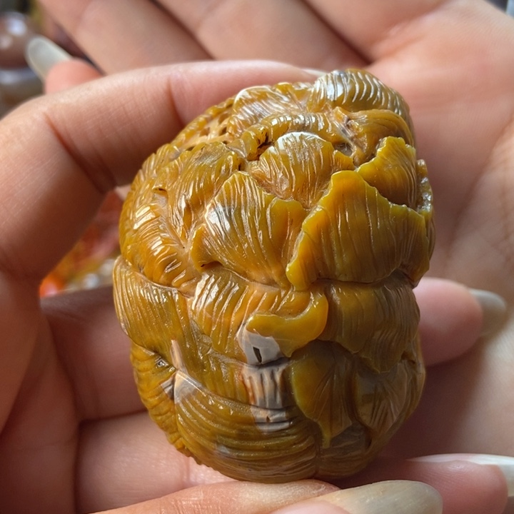 未镶嵌颈饰玛瑙/玉髓战国红