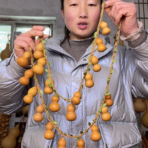 天然植物葫芦文玩