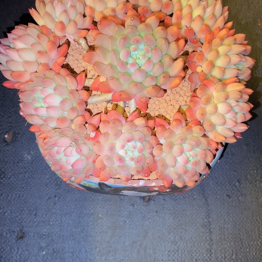 特别好看特别好看特别好看