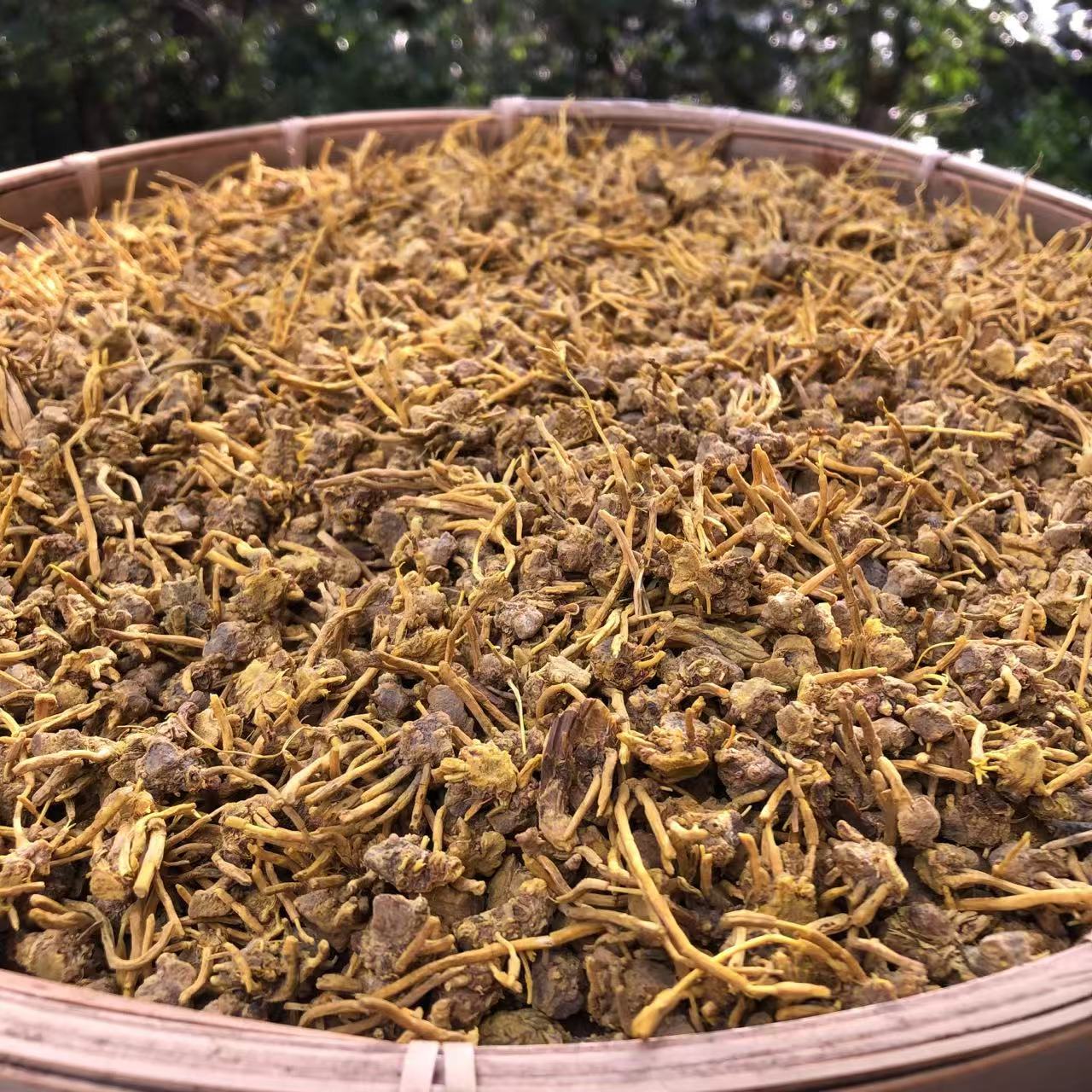 【龙-须-石-斛-菇】净含量250g-500g【万万现收】