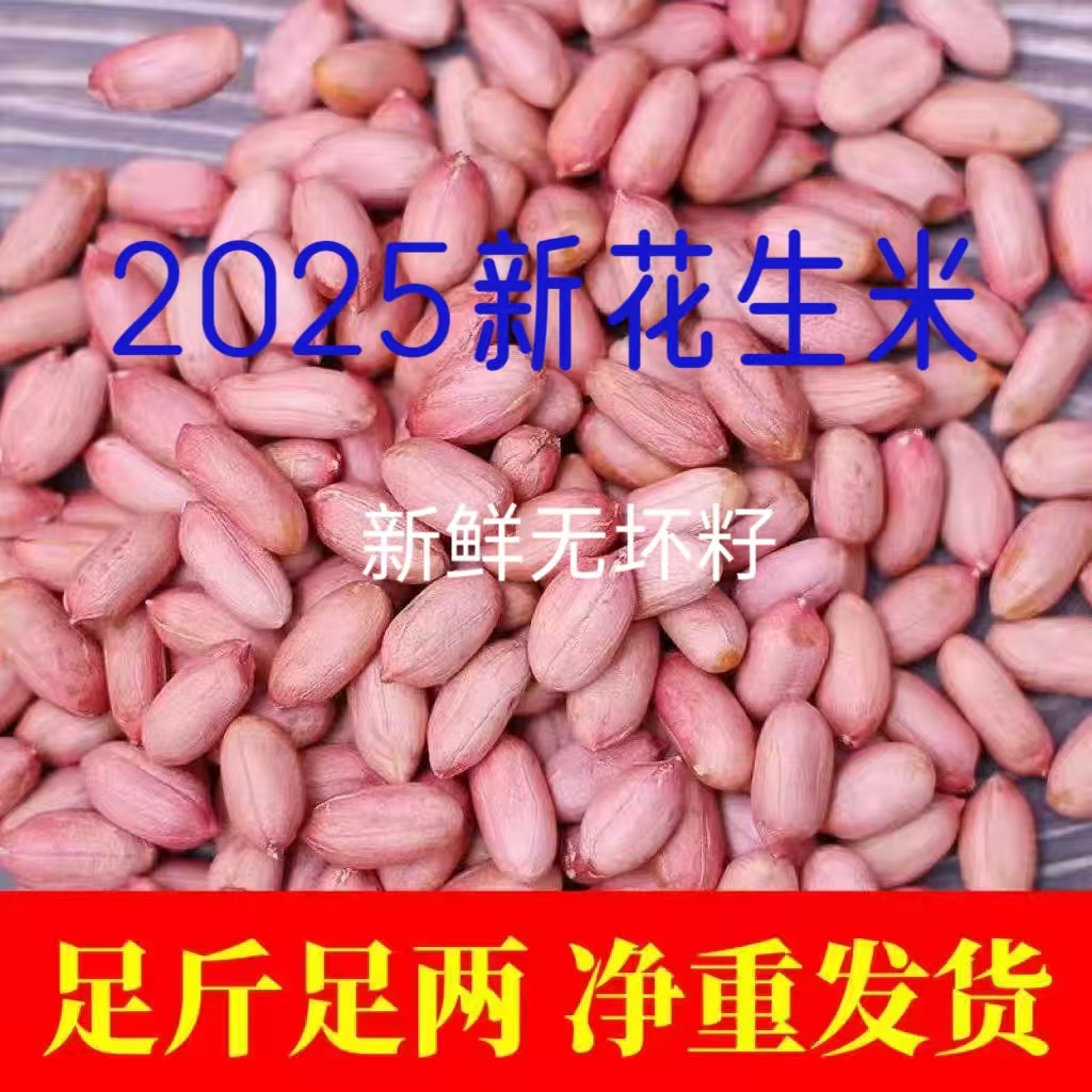 2025新鲜优质新鲜大颗粒花生米生花生米新鲜煮粥醇香美味水煮油炸