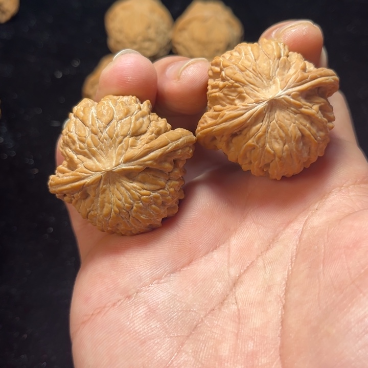 文玩核桃50尺磨盘