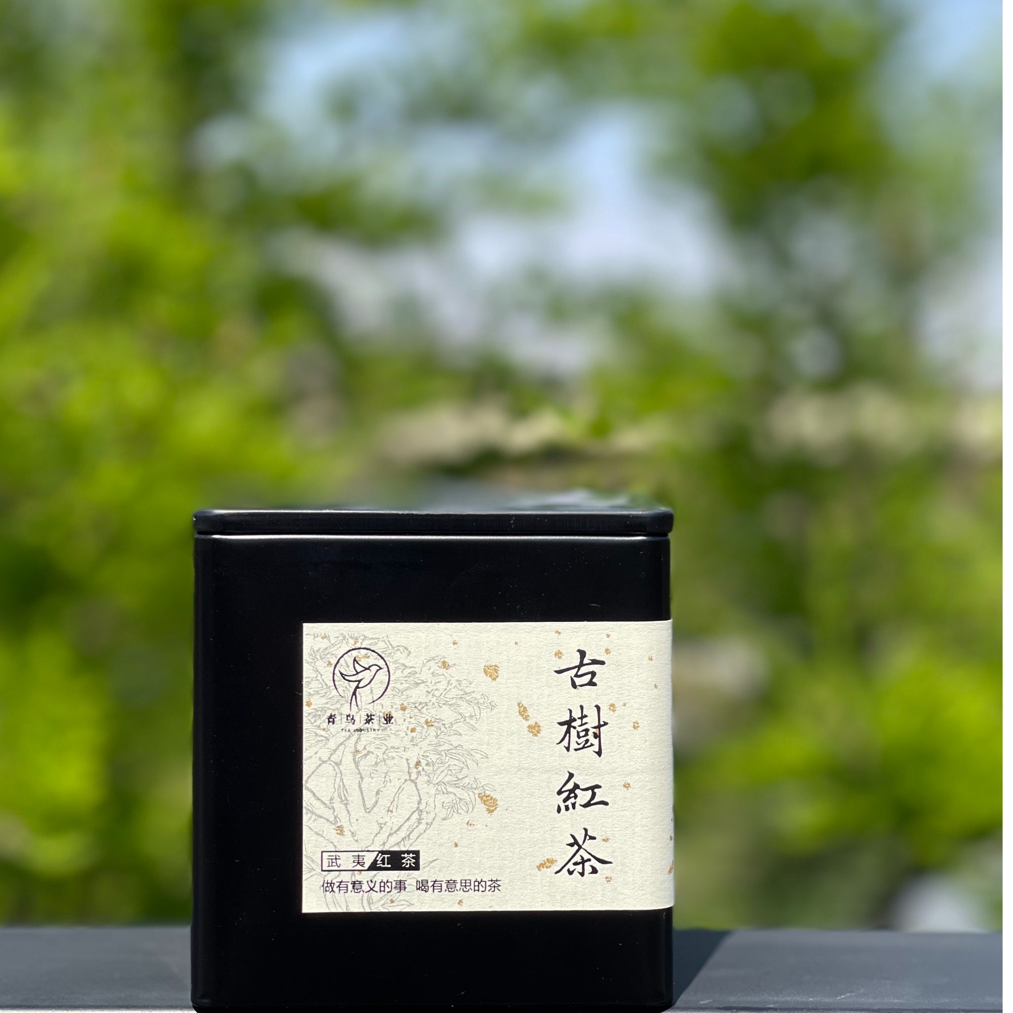 【古树红茶】 古树红茶尝新 品茗古树红
