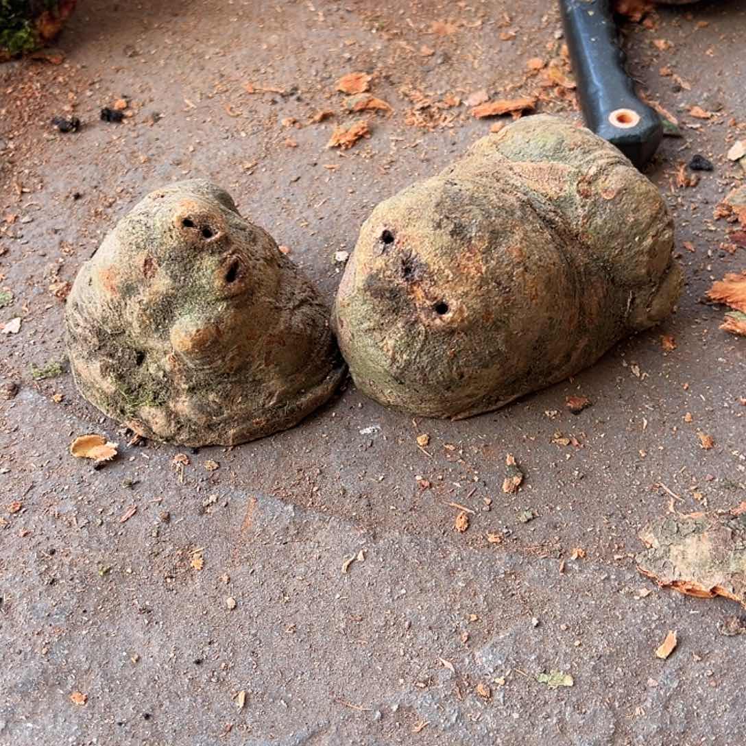 大***4荔枝木荔枝木毛料开盲盒，小的58大138不支持退货退款