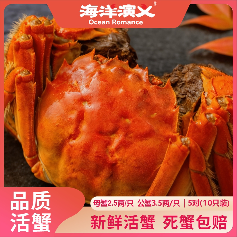 【活蟹】海洋演义 大闸蟹 母2.5两*5只+公3.5两*5只 5对10只装
