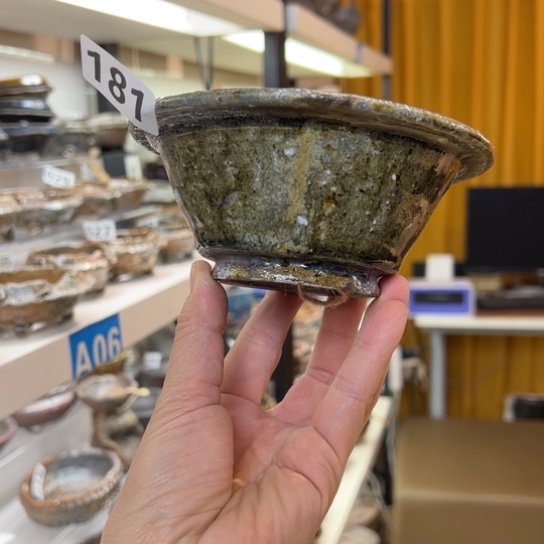 红陶11.5x4.5/181/////