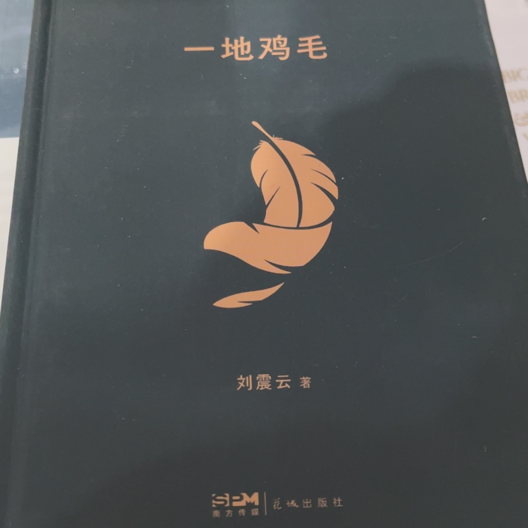 一地鸡毛精装一个