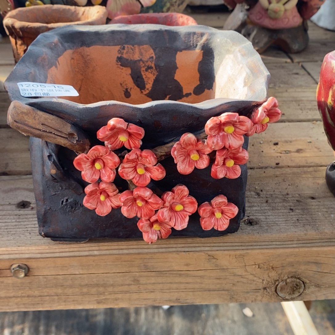 15号多肉盆口径12