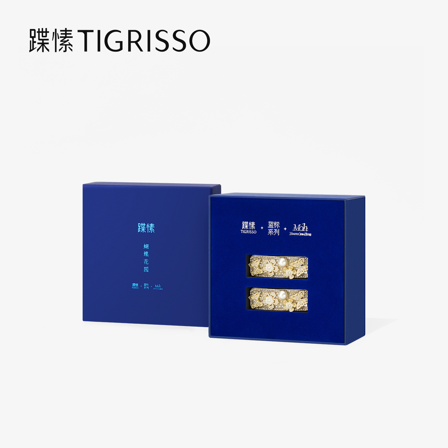 蹀愫2025年时尚新款发夹TJ655D1-02B72
