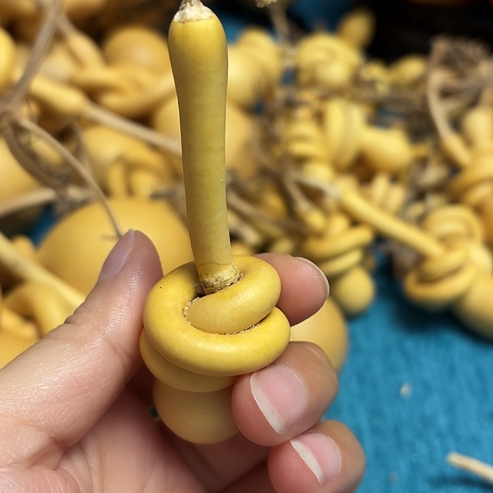 酒***力一把葫芦便宜漏了