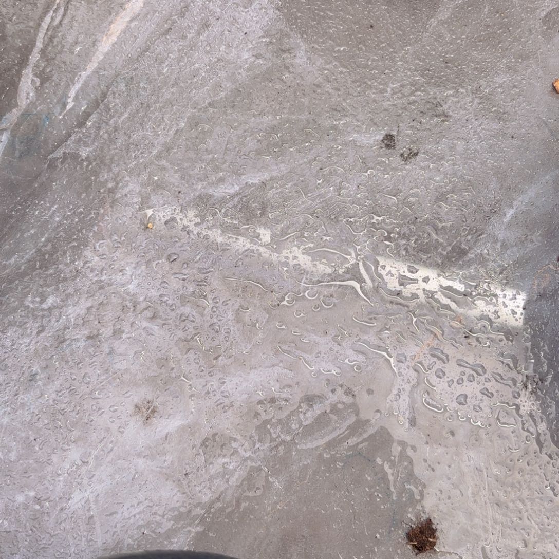 一物一拍惊鸿仙子