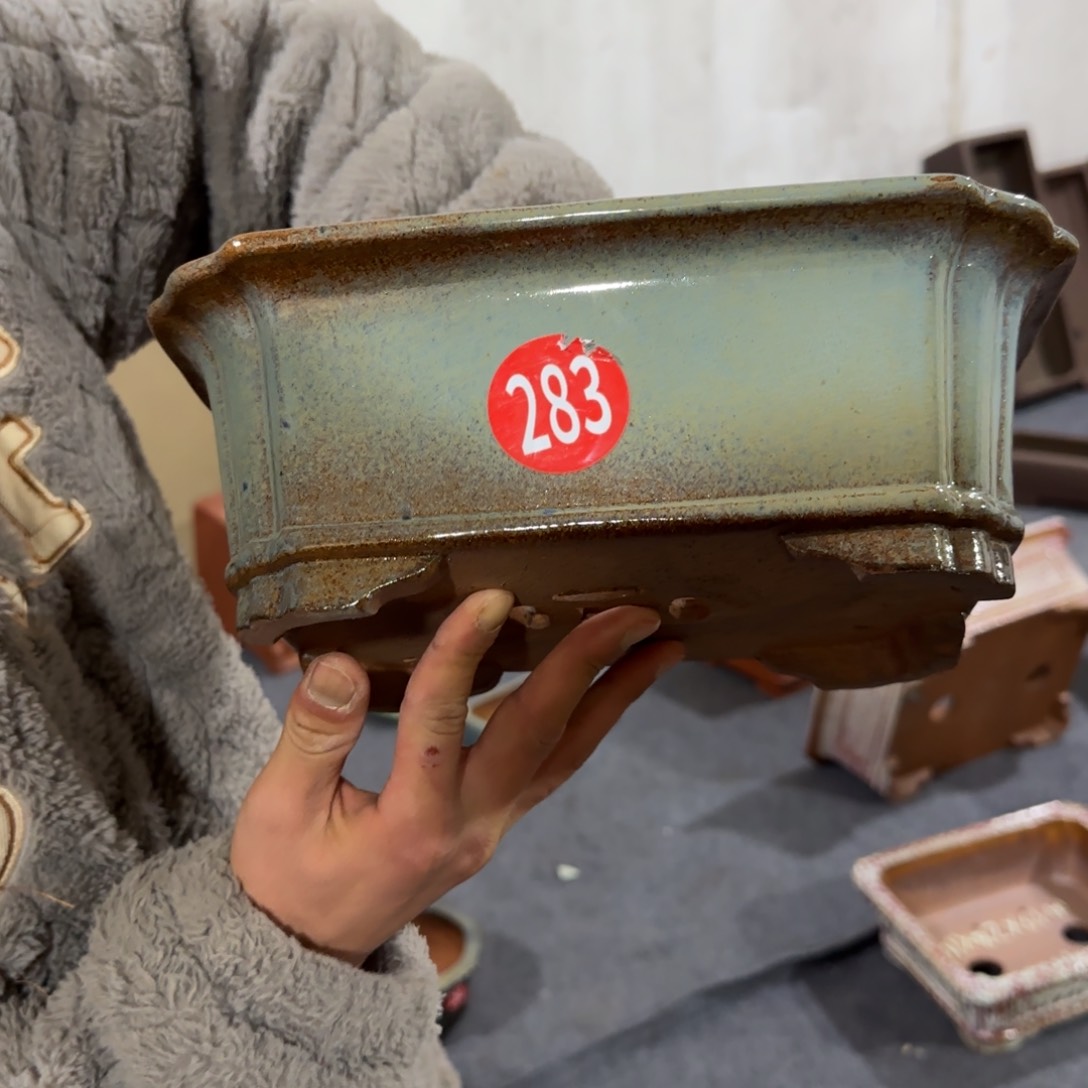 紫砂花盆呜呜呜呜