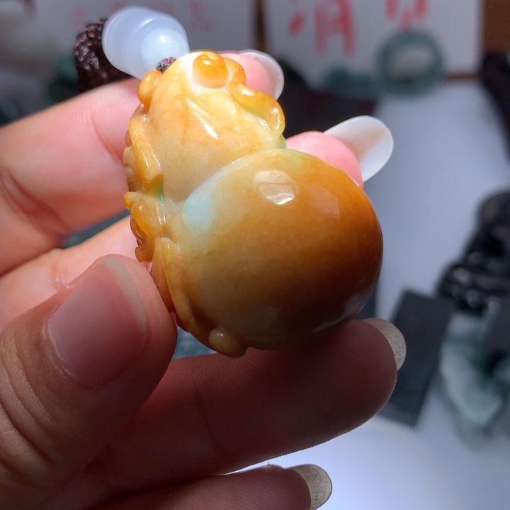 翡翠颈饰未镶嵌保真天然A货翡翠