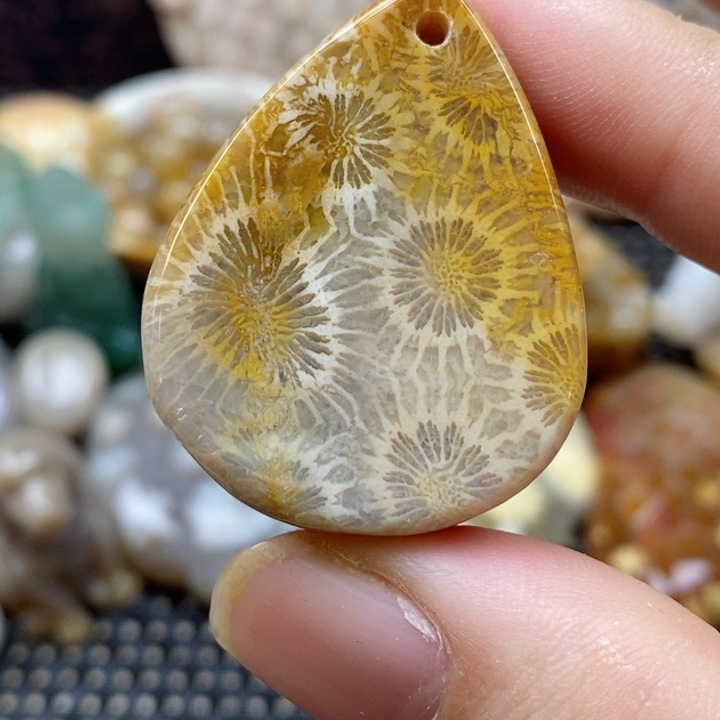 硅化珊瑚（珊瑚玉）颈饰未镶嵌