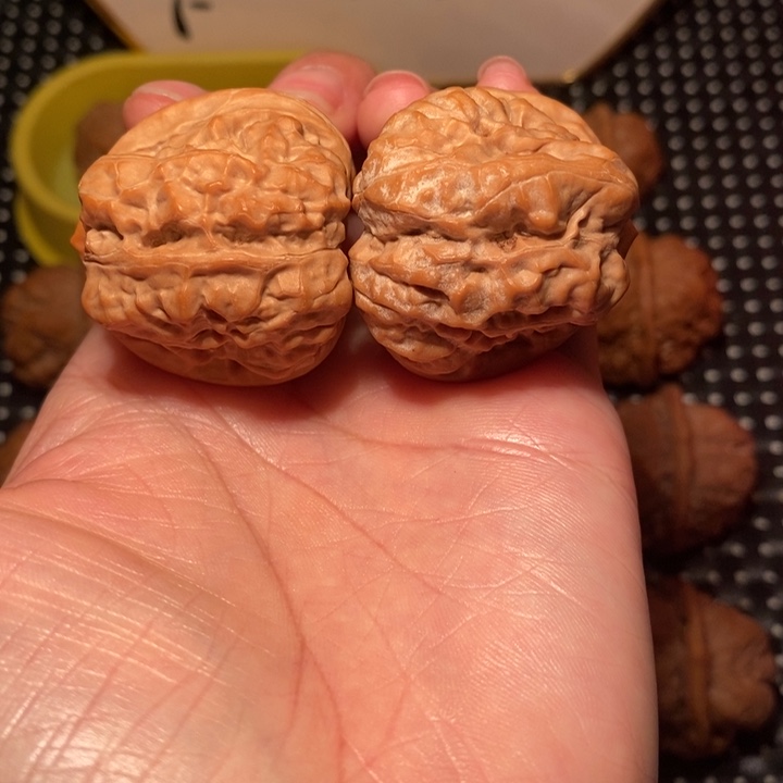 把件文玩核桃开背大腿肌肉蛙