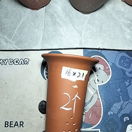 小红兰花两个花盆