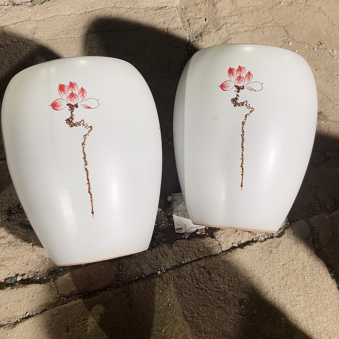 紫砂花盆里的小猫咪