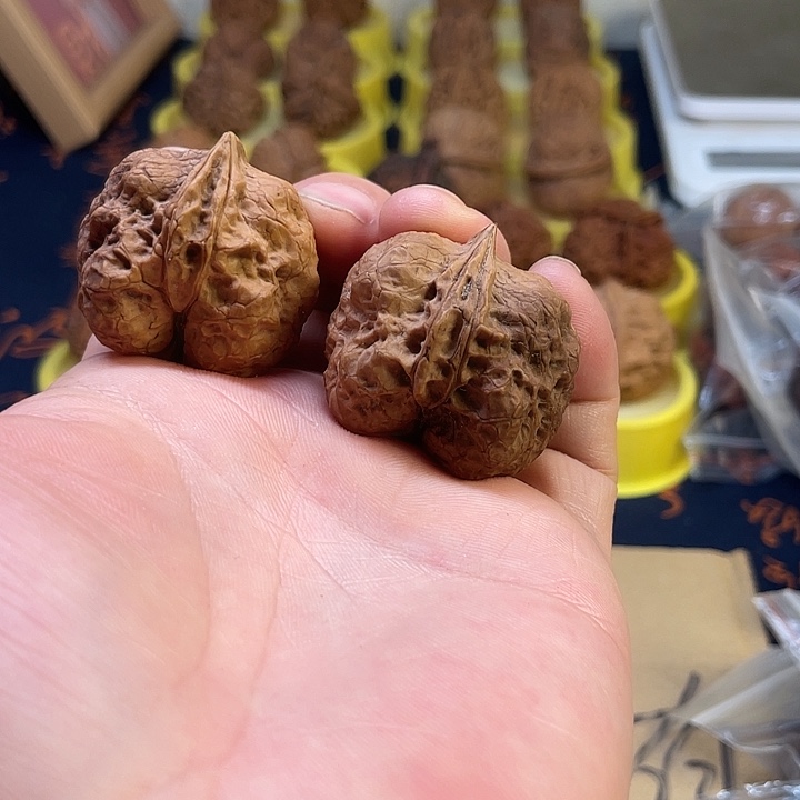 5***8文玩核桃把件生命之源36