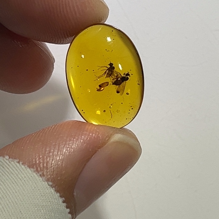 琥珀未镶嵌裸石缅甸琥珀