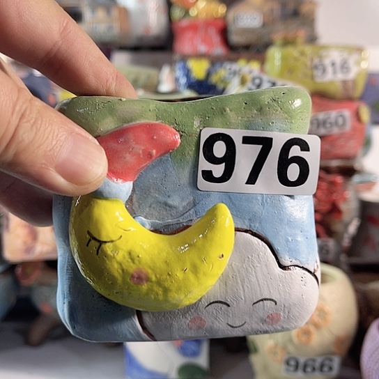 红陶多肉植物花盆