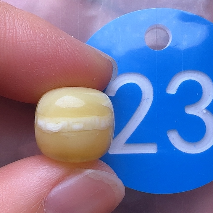 蜜蜡裸石未镶嵌花粉12.5m m