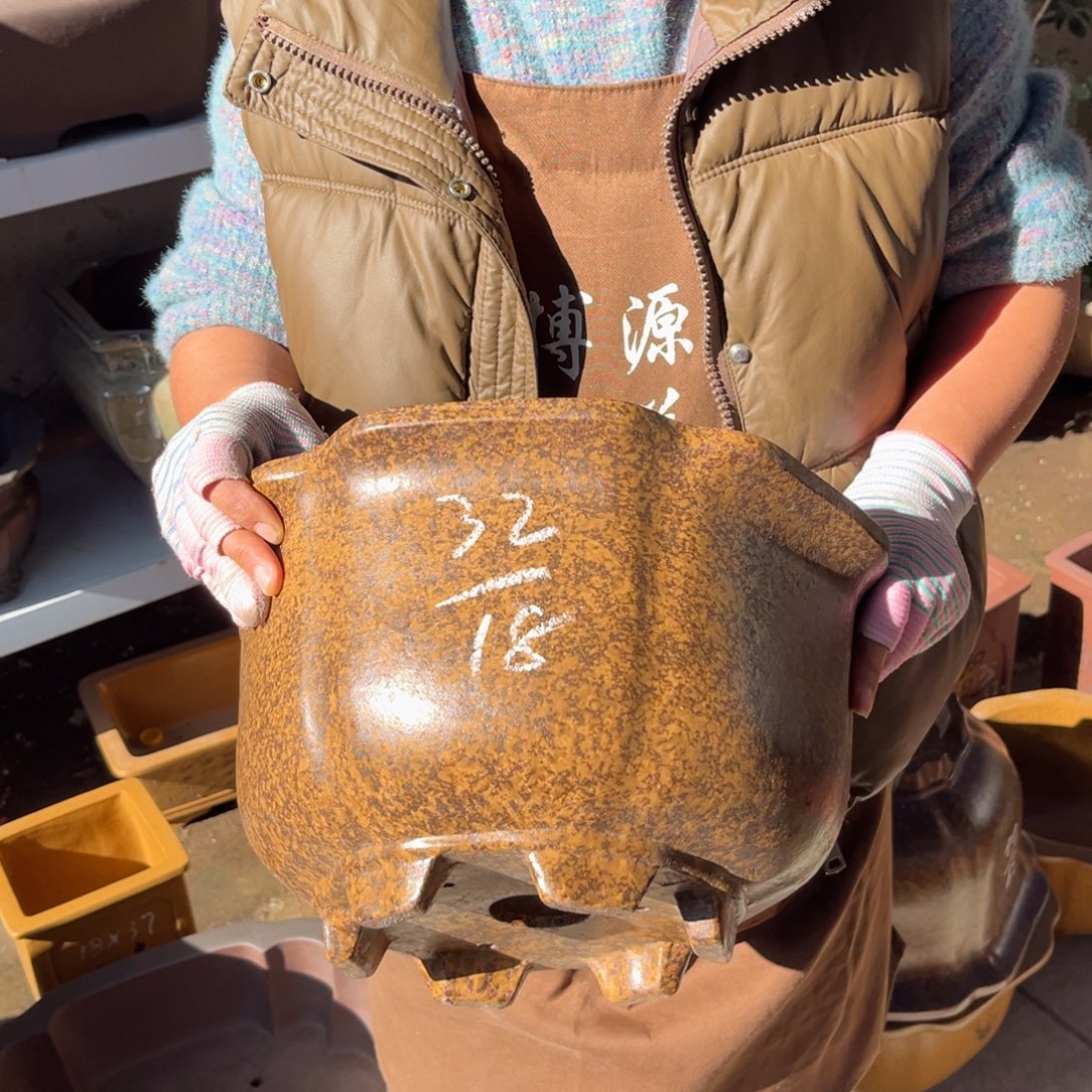 花盆紫砂盆景艺术