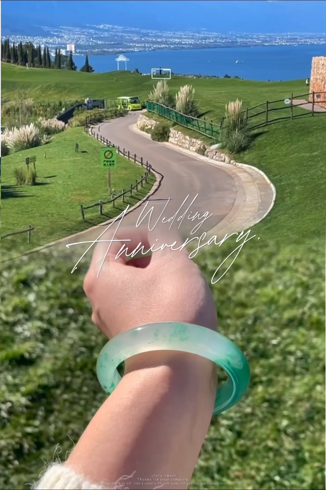 「甜美果绿」天然非洲翠冰种手镯