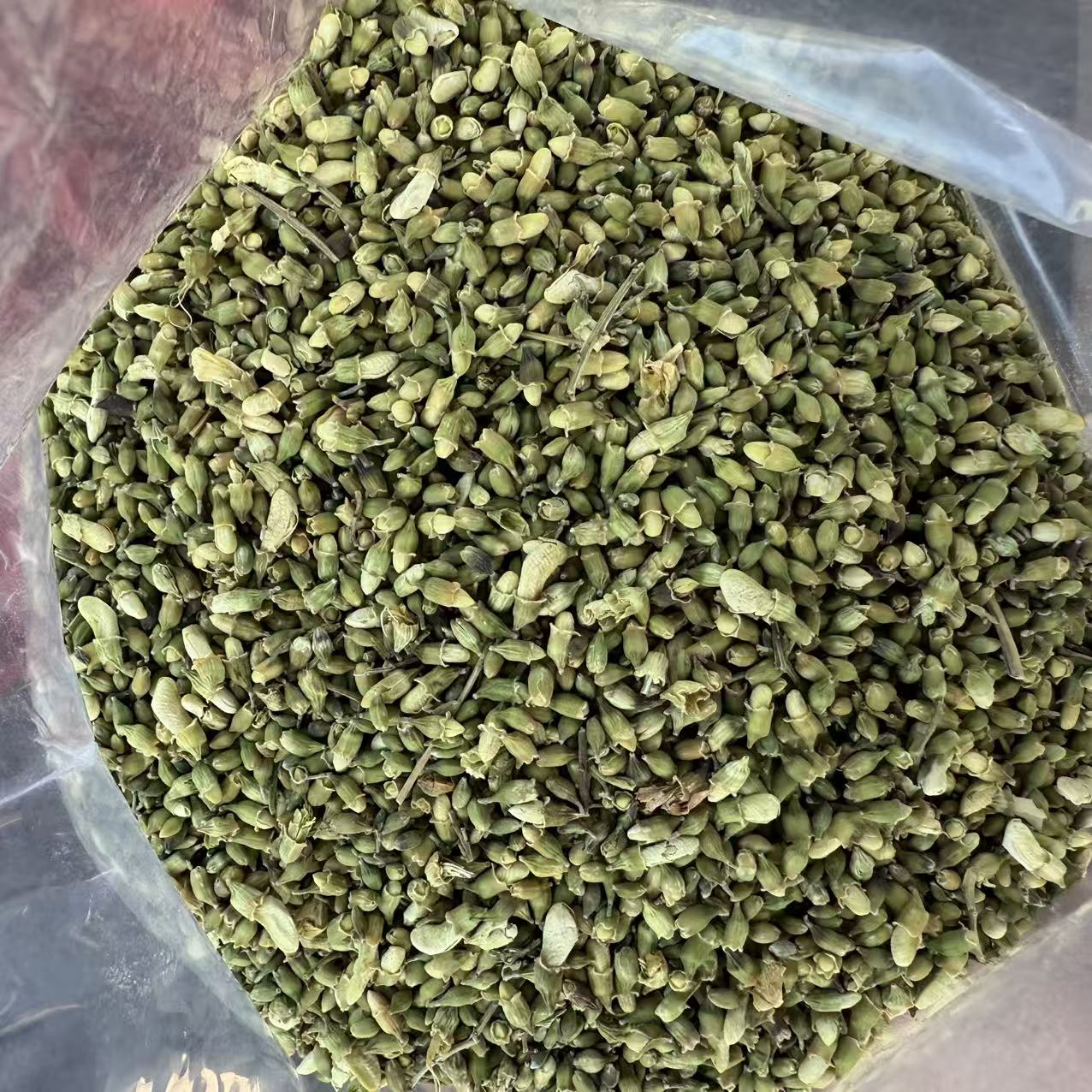 正宗槐米 可泡水