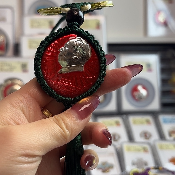 其他普通金属车挂