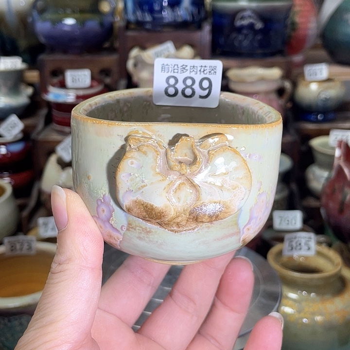 红陶内口径7高度6