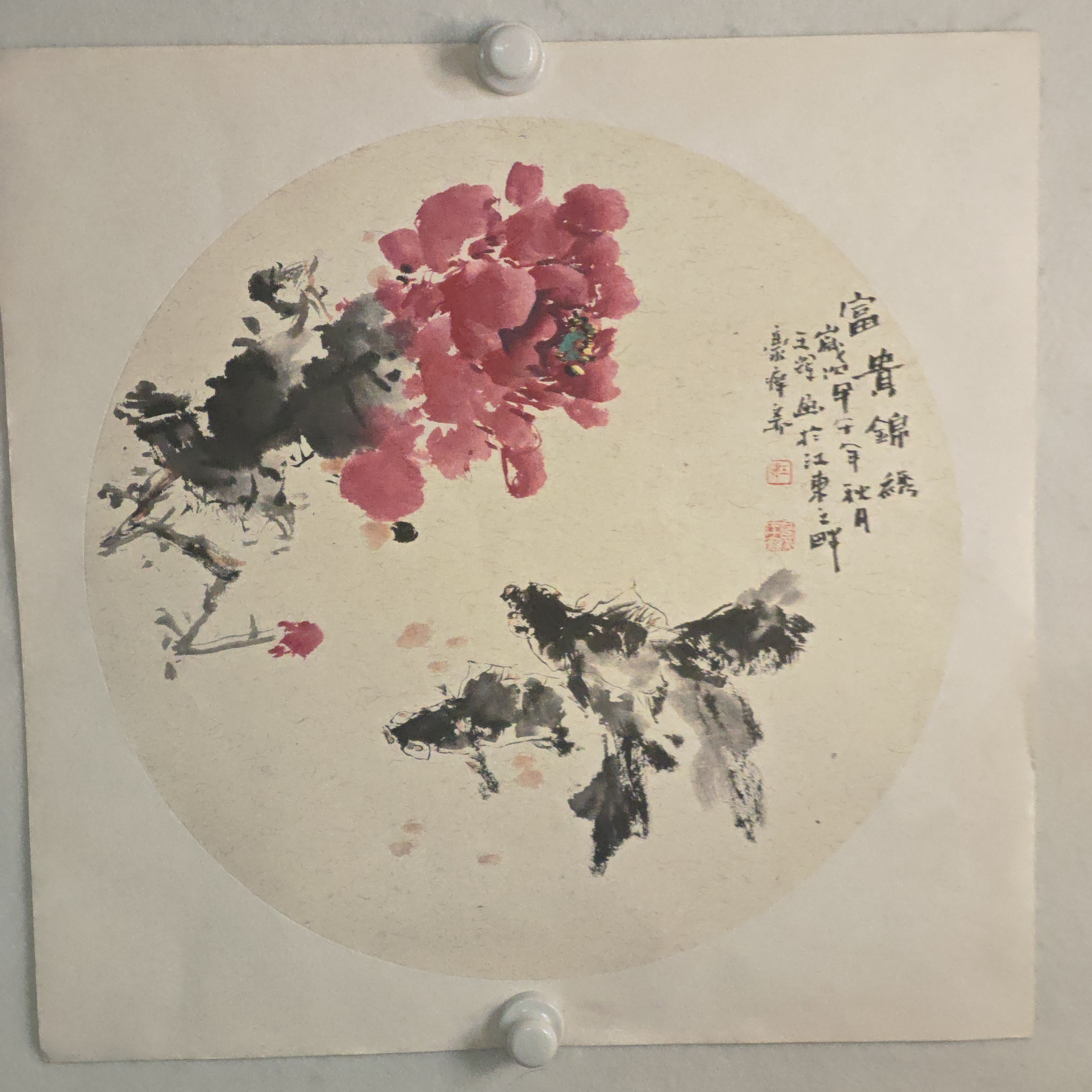 大红袍王辉老师作品牡丹