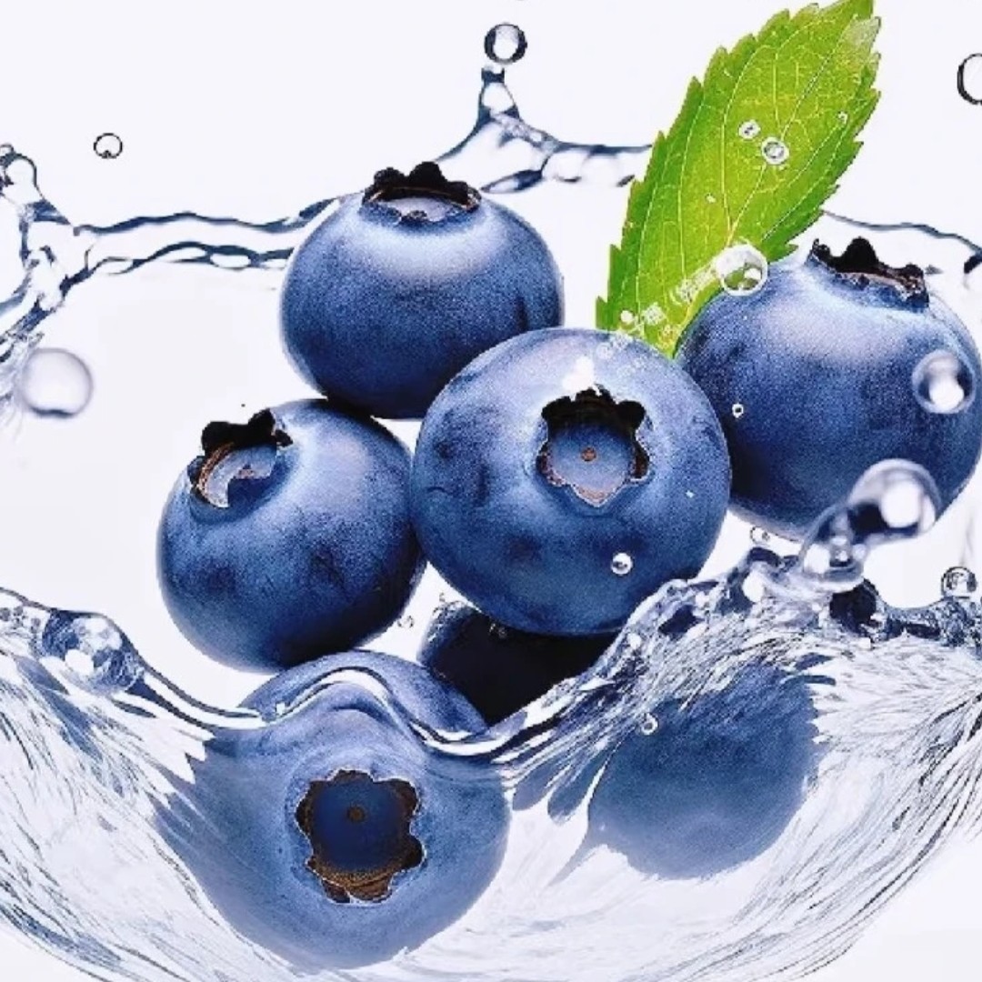 16盒 头茬超甜特大果 花香蓝莓20-16mm 顺丰发货