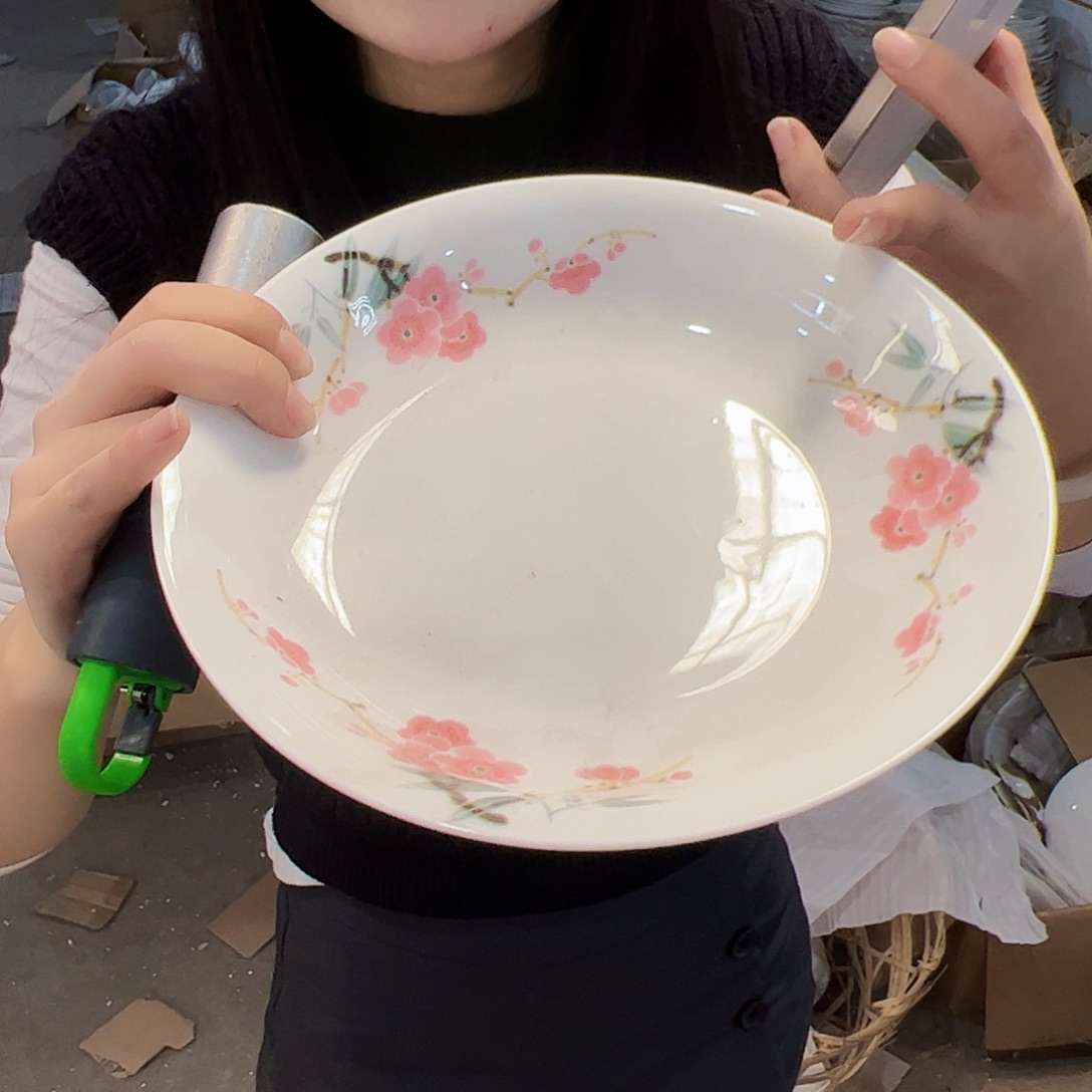 瓷片景德镇陶瓷翠竹红梅8寸盘