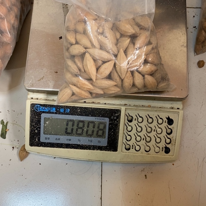 吊坠橄榄核這是我的