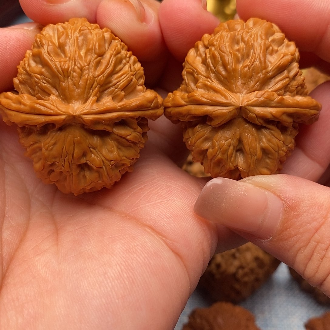 把件文玩核桃38全品毕业大肚白狮子