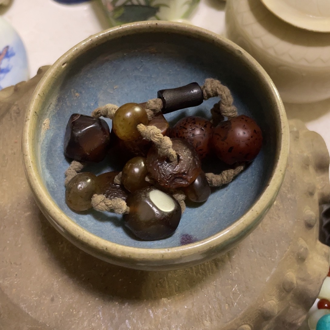 迷***鹿我们的生活方式是什么