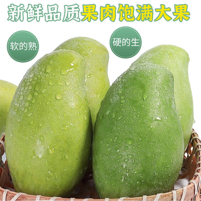 大青芒果生熟两吃脆甜大果生芒果腌制酸野开胃水果肉多核薄金煌芒