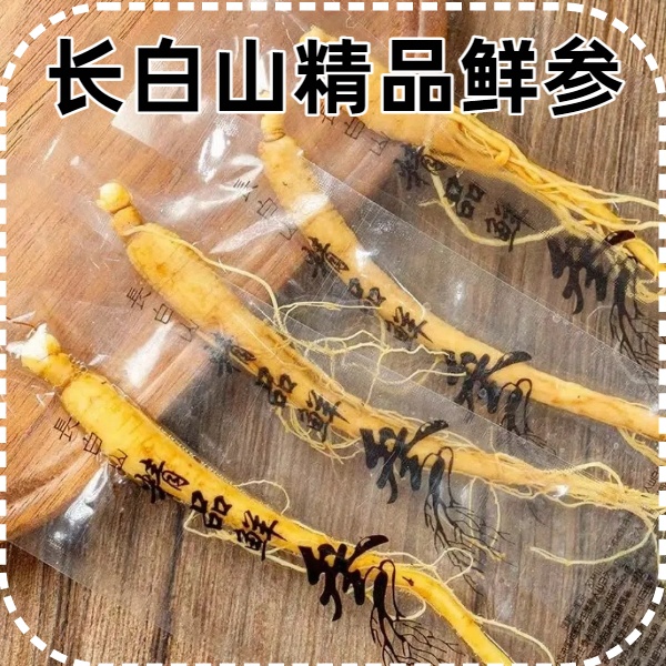 （福利一支装）正宗长白山保鲜参独立真空包装产地发可用于泡酒煲汤