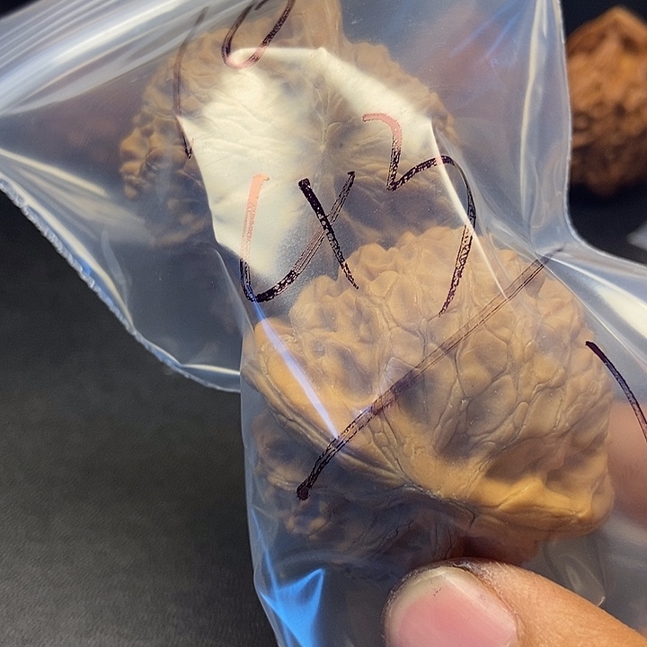 独***间核桃十三号文玩核桃