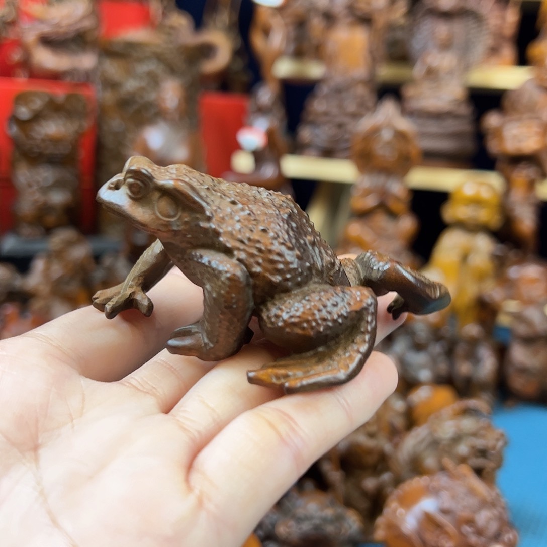 黄杨木小叶黄杨木