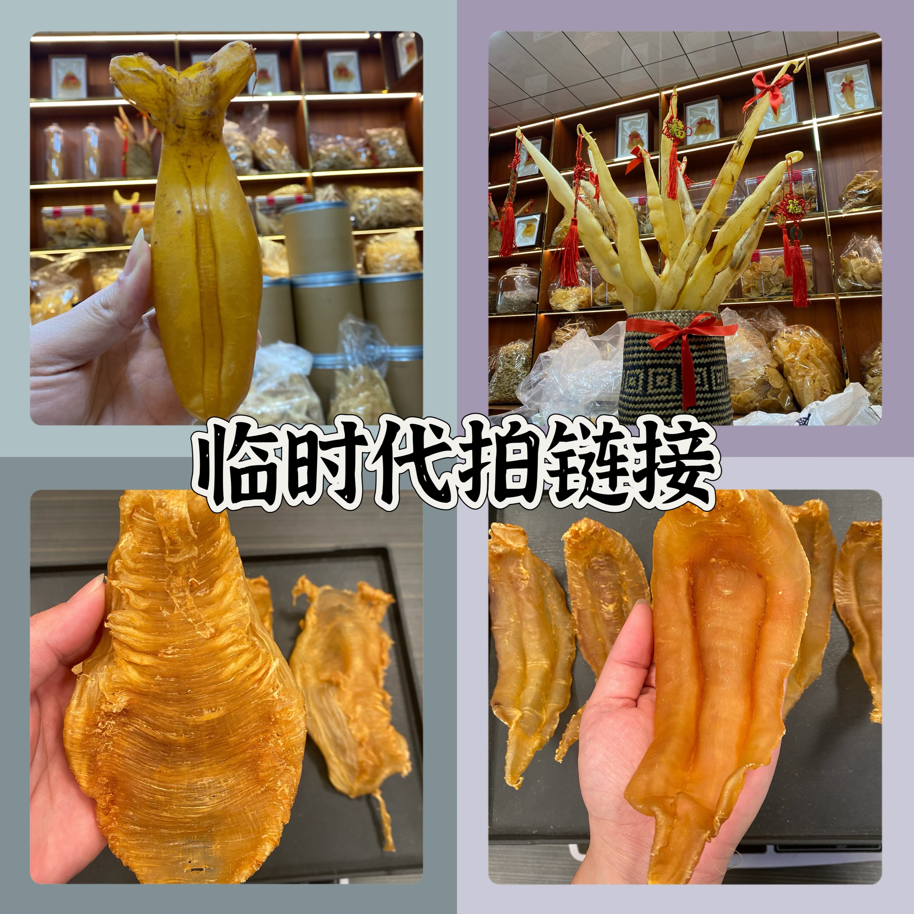 板板 花胶鱼胶直播间链接250克-500克