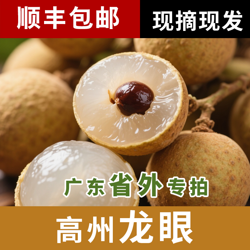 【顺丰包邮】广东高州鲜果龙眼桂圆新鲜现摘当季水果（省外专拍）