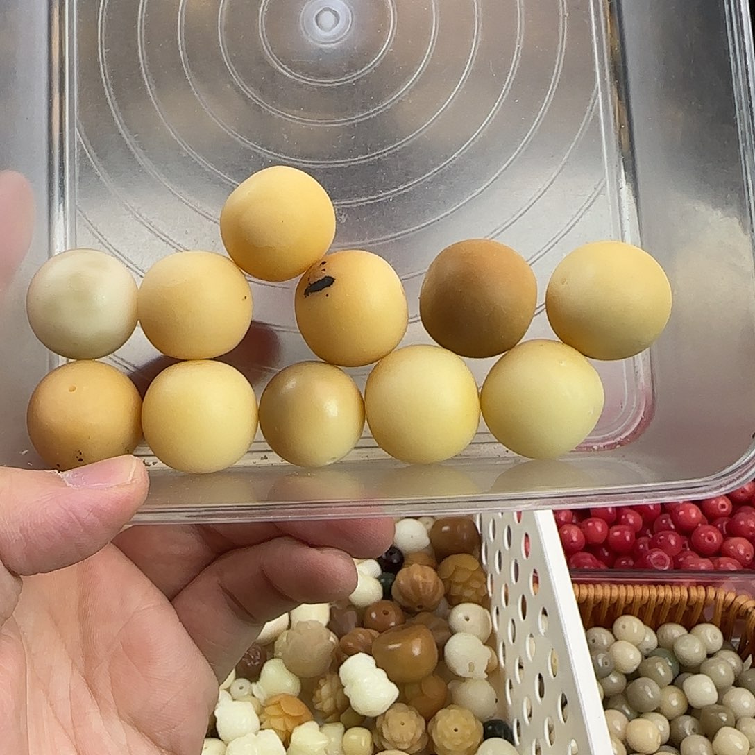 菩提根/象牙果手串瑕疵卡25尺寸10颗23一颗