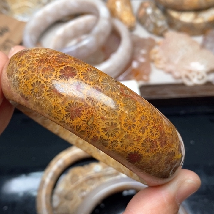 硅化珊瑚（珊瑚玉）手镯未镶嵌56.8