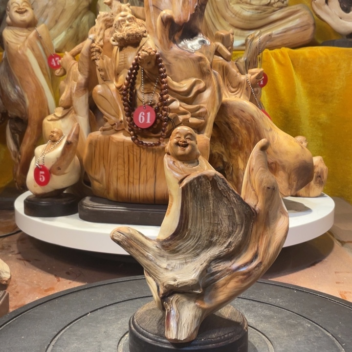 柏木（崖柏）崖柏   弥勒