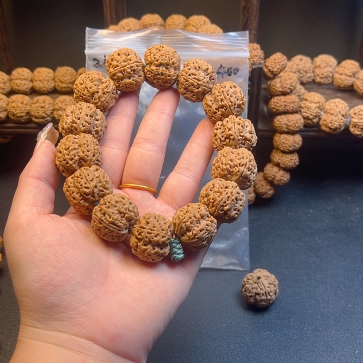 金刚菩提手串咕*头24尺寸金刚菩提