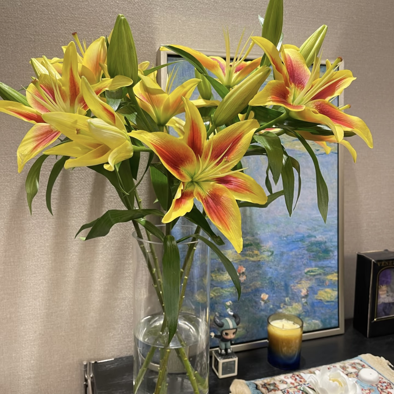 【杨鹏鲜花】皇冠 亚百合 云南鲜花包邮