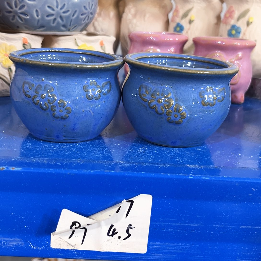 花盆花盆花盆花盆花盆花盆花盆