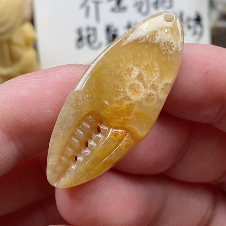 颈饰未镶嵌硅化珊瑚（珊瑚玉）